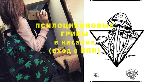 2c-b Белоозёрский
