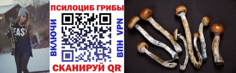 Купить где  Михайлов  Галлюциногенные грибы MAGIC MUSHROOMS 